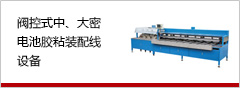 閥控式中、大密電池膠粘裝配線(xiàn)設(shè)備